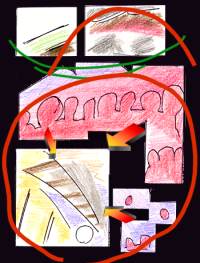 organisation page 10